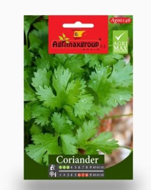 Coriander Seeds