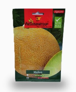 Melon Seeds