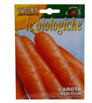 Organic Carrot Seeds