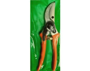 Hand pruning shears