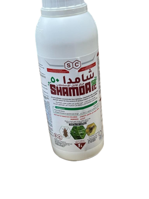 Shamda