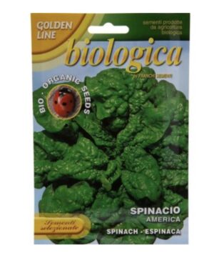 Spinach Seeds