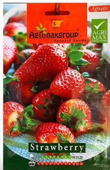 Strawberry Seeds