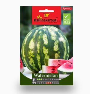 Watermelon Seeds