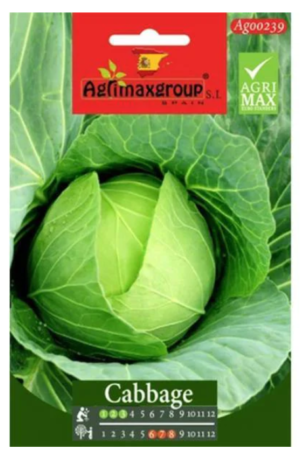 Cabbage