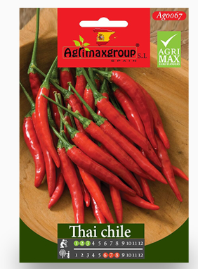 Chilli