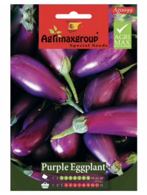 eggplant