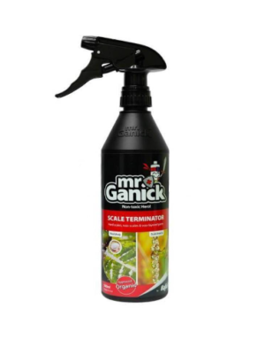 Mr Ganick