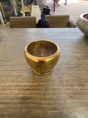 Pot
