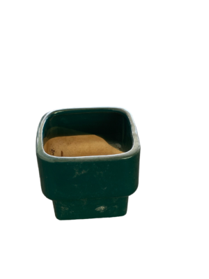 Pot