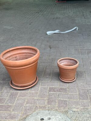 Pot