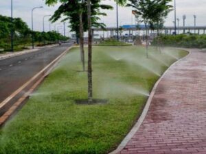 Rainbird Pop-up Sprinkler - Image 3