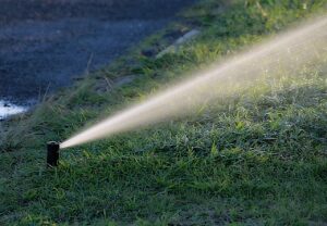 Rainbird Pop-up Sprinkler - Image 2