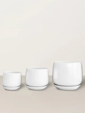 White Pot with attached plate