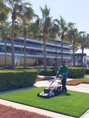 outdoor-plants-maintenance-img-3