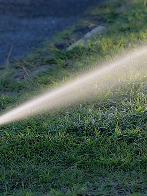 water-1544808_1280